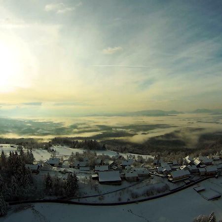 Turizem Pavlin Apartments Senturska Gora Buitenkant foto