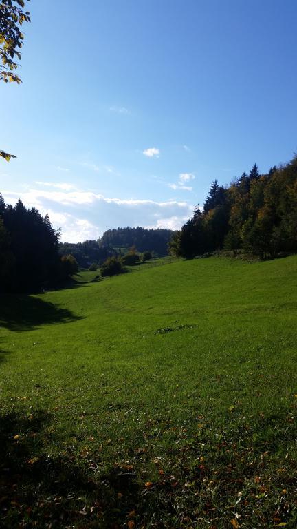 Turizem Pavlin Apartments Senturska Gora Buitenkant foto