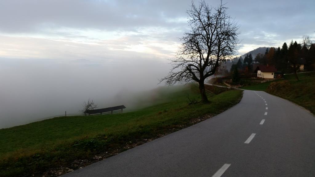 Turizem Pavlin Apartments Senturska Gora Buitenkant foto